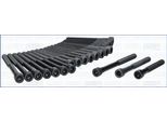 Ajusa 81005600 Set Di Viti Per Testata Cilindri Adatto Per MERCEDES-BENZ Berlina (W123) M12