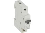 Interruttore Automatico Unipolare Rx³-Mcb 1P C 6A 6Ka Legrand