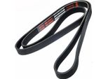 MASTER-SPORT 6PK1755-PCS-MS Cinghia A V, Cinghia Piatta Per Vw Golf Ii (19E, 1G1)