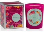 Max Benjamin Luxury Natural Candle Mo'orea