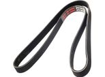 MASTER-SPORT 6PK1260-PCS-MS Cinghia A V, Cinghia Piatta Per Ford Fiesta Iii (Gfj)