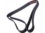 MASTER-SPORT 7PK1795-PCS-MS Cinghia A V, Cinghia Piatta Per Renault Trafic Ii Bus (Jl)
