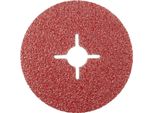 Disco Da Sbavo Rhodius Kfs 125X22,23Mm K24 Acciaio Proline - 300058