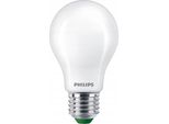 Philips Lampadina A Filamento Opaco 75 W A60 E27