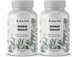 Shilajit Capsule - 200X Capsule Mumijo - Con >80% Di Acido Fulvico - 2X Dosi (400X Capsule Mumijo)