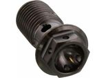 Bullone PRO-BOLT Banjo Singolo M10X1,00 Nero Titanio Racing