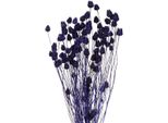 Cardi Di Fragola Fiori Decorativi Viola 44-58Cm 100G
