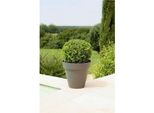 Vaso Per Piante Riviera 414076 Circolare In Plastica Grigia