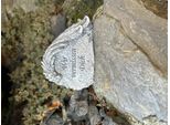 Eberin - Cimitero Toccante Decorazione Della Tomba: Lapide Con Piuma Sovrastante - Pietra A Lutto In Vera Pietra Con La Scritta Ci Manchi