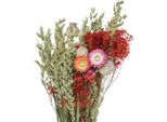 Bouquet Di Fiori Secchi Decorazione Fiori Di Prato Natura Rosso Arancio Verde Giallo Avena Papavero Capsule 50Cm 150G