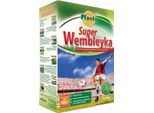 Tappeto Erboso Sportivo Super Wembley 0,9 Kg Tappeto Erboso Spesso E Resistente Per 36 M²