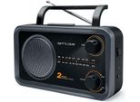 Muse M-06DS Radio Portatile Analogica Nera, Grigia