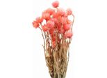 Fiori Secchi Cappello Fiori Di Paglia Salmone Decorazione 42Cm