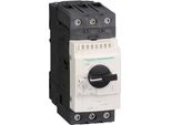 Interruttore Automatico Di Protezione Motore Schneider Electric GV3P32