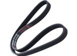 MASTER-SPORT 5PK884-PCS-MS Cinghia A V, Cinghia Piatta Per Renault Super 5 (B/C40_)