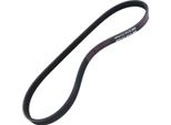 MASTER-SPORT 4PK737-PCS-MS Cinghia A V, Cinghia Piatta Per Rover 200 I Notchback (Xh)