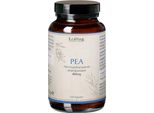 Pea Palmitoiletanolamide Capsule Vegane Earthling 120 St