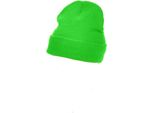 Cappello / Berretto Termico Invernale Unisex Yoko Con Fodera Thinsulate BC1230 (Taglia Unica) (Lime)