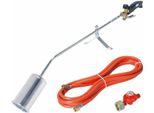 Rothenberger Industrial Romaxi Eco Set Di Torce Riscaldanti ( 1000000234 ) + Tubo Flessibile + Regolatore 1060 °C Torcia Ad Alte Prestazioni