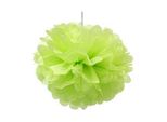 Atosa Pompom 25 Cm Verde Verde Taglia Unica