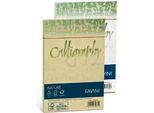 Favini Nature Calligraphy Busta Grigio 25 Pz