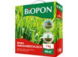 Sementi Per Prato Auto-Riparazione Sementi Per Prato Rigenerazione 40M2 Professionale 1Kg