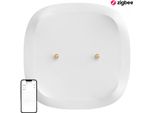 Sonoff Smart Water Leak/Flood Sensor Zigbee Sonoff SNZB-05P (+Battery)