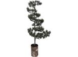 Mini Albero Di Natale Artificiale Clayre & Eef 28X28X80 Cm / 3Xaaa Legno Verde