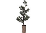 Mini Albero Di Natale Artificiale Clayre & Eef 23X23X60 Cm / 3Xaaa Legno Verde