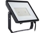 Philips - Proiettore Led Professionale Projectline 100W Luce Bianca Fredda 6500K