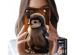 Custodia Per Huawei P20 - Pinguino Carino, Tuptak, Madagascar Motivi