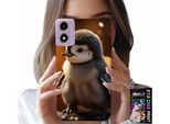 Custodia Per Motorola Moto E14 - Pinguino Carino, Tuptak, Madagascar Motivi