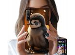 Custodia Per Realme C3 - Pinguino Carino, Tuptak, Madagascar Motivi