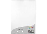 Carta Polline A4 210G Bianco Perla 25 Fogli