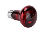 Lampada Riscaldante A Infrarossi, Lampada Termica Uva, Lampadina Della Lampada Termica Per Rettili, Lampadina Della Lampada Termica A Infrarossi, Lampadina Della Lampada Termica Per Rettili Uva, Lampade Termiche A Infrarossi Per Terrario