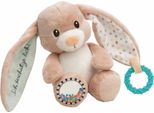 Nici Attività Coniglio Peluche Fjella Possiedo Un