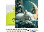 Dipingere Con I Numeri Adulti E Bambini Animali Gatto Notte Di Luna 50X40 - 30 Colori Acrilici, Tela Con Telaio In Legno, 3 Pennelli E Accessori Oh Art!