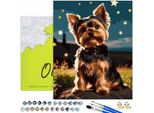 Dipingere Con I Numeri Adulti E Bambini Animali Cane York Stelle 50X40 - 34 Colori Acrilici, Tela Con Telaio In Legno, 3 Pennelli E Accessori Oh Art!