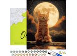 Dipingere Con I Numeri Adulti E Bambini Animali Gatto Chiaro Di Luna 50X40 - 34 Colori Acrilici, Tela Con Telaio In Legno, 3 Pennelli, Accessori, Vernice Dorata Oh Art!