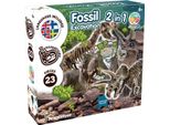 Kit Di Scavo Di Fossili Di Dinosauro: T-Rex E Triceratopo