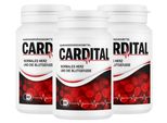 Set 3X60 Integratori Alimentari Cardital | 60 Capsule | Estratto Di Mirtillo Rosso, Magnesio, L-Arginina