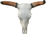 Teschio Di Toro Testa Di Toro Sculture Da Parete Altezza 64 Cm Figura Decorativa Decorazione Da Parete