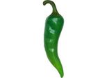 Pepperoni Figura Statua Negozio Decorazione Statue Figure 60Cm Decorazione Negozio Giardino