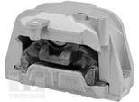 Tedgum Supporti Motore Anteriore Destro Per Vw Golf V Hatchback (1K1) TED98366
