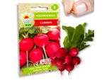 Semi Di Ravanello Carmen Red Early Mild Non Pelati 10G Ravanello