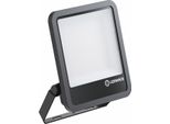 Ledvance Proiettore Led FL200P133W20KLM865.B Ledvance