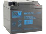 Mw 45-12: Batteria Agm 12V/45Ah, 198*166*171 (T16)