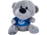 Everton Fc - Orsacchiotto TA13877 (Taglia Unica) (Blu Scuro/Bianco)