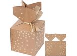 Dpcraft Scatole Di Natale 10X10Cm, Set Di 2 Scatole Di Cartone