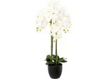 Pianta Artificiale Di Orchidea Phalaenopsis 99 Cm In Vaso Di Resina - Decorazione Bianca Per La Casa